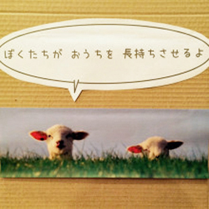 リノベーション見学会